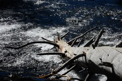 DSC_9902 (Large).JPG